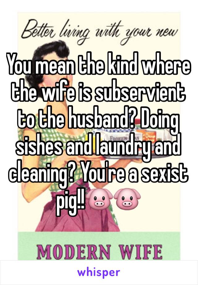 You mean the kind where the wife is subservient to the husband? Doing sishes and laundry and cleaning? You're a sexist pig!!🐷🐷