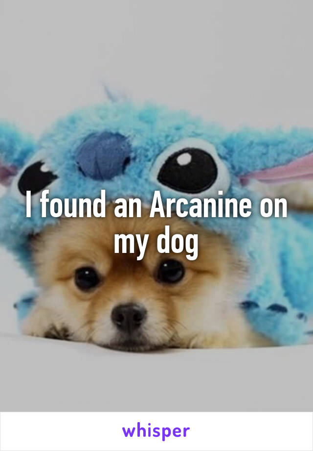 I found an Arcanine on my dog