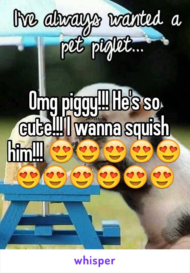 Omg piggy!!! He's so cute!!! I wanna squish him!!! 😍😍😍😍😍😍😍😍😍😍😍