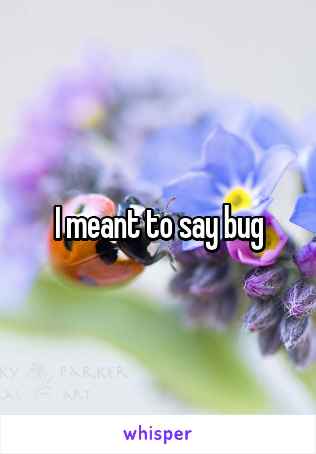 I meant to say bug