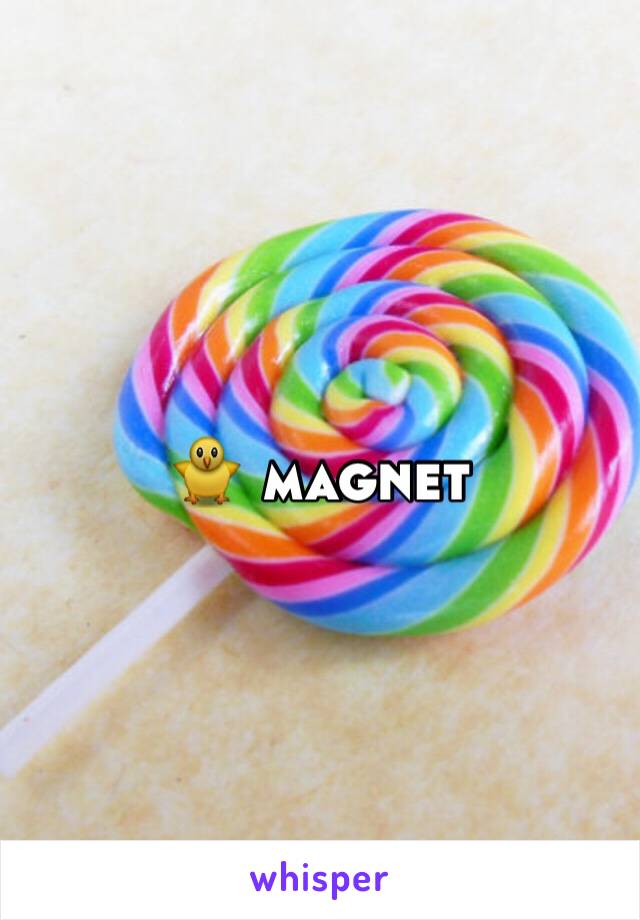 🐥 magnet