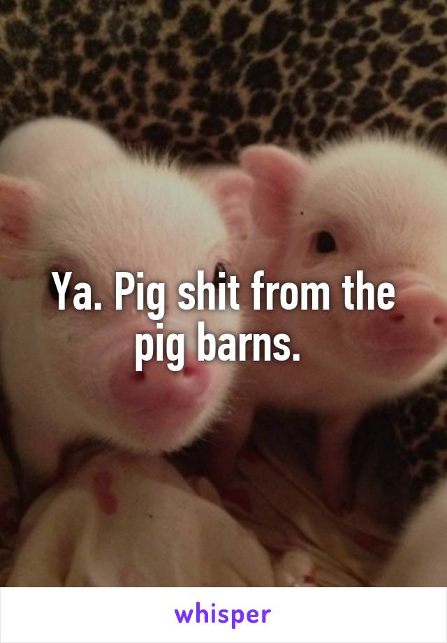 Ya. Pig shit from the pig barns. 