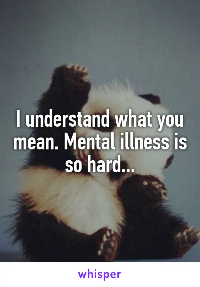 I understand what you mean. Mental illness is so hard...