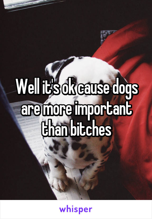 Well it's ok cause dogs are more important than bitches
