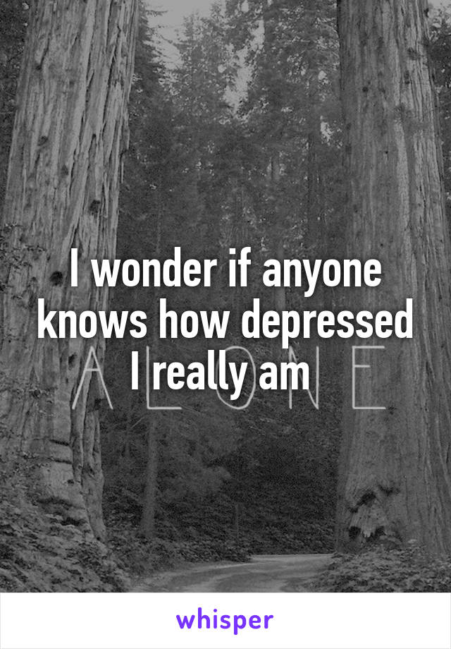 I wonder if anyone knows how depressed I really am 