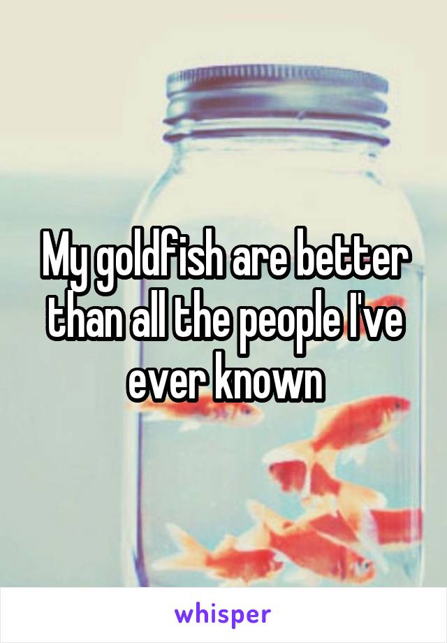 My goldfish are better than all the people I've ever known