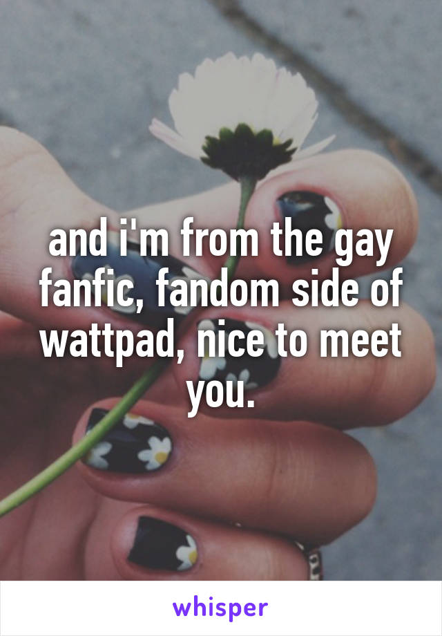 and i'm from the gay fanfic, fandom side of wattpad, nice to meet you.