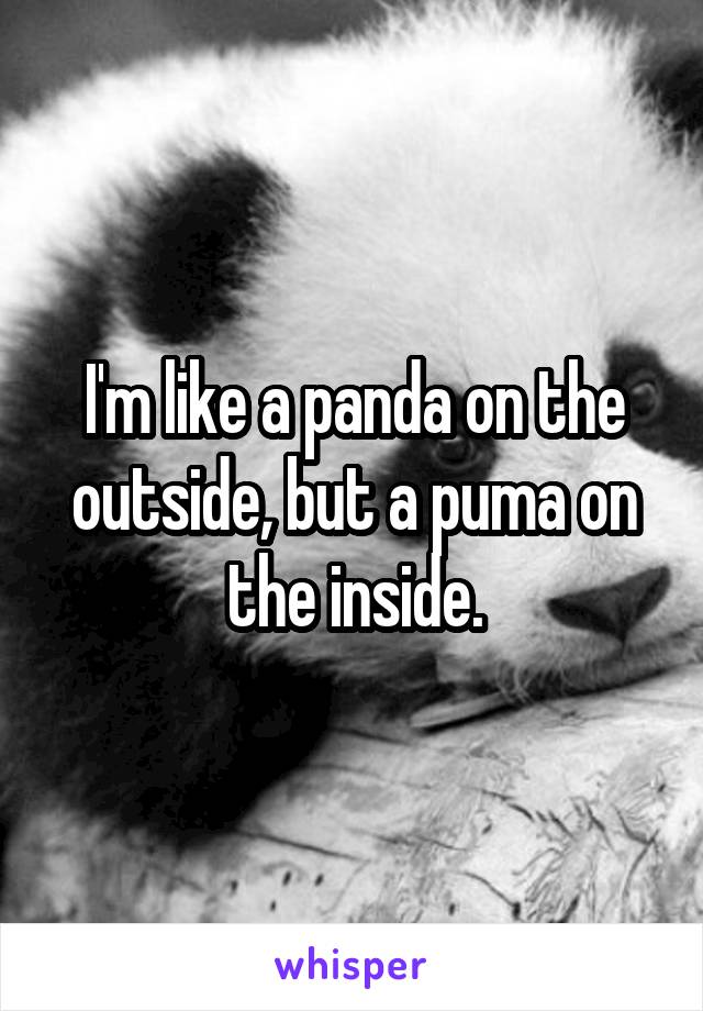 I'm like a panda on the outside, but a puma on the inside.