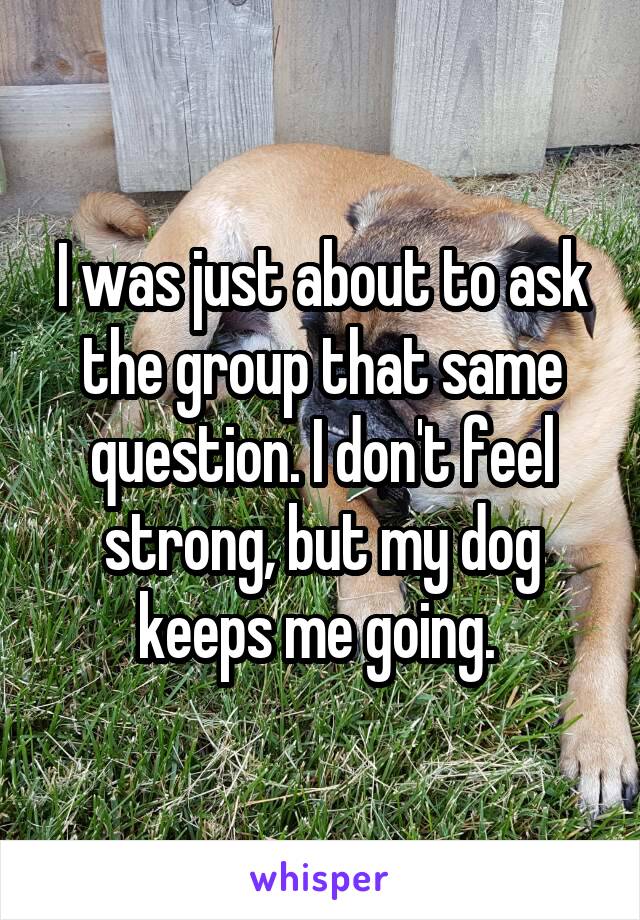 I was just about to ask the group that same question. I don't feel strong, but my dog keeps me going. 