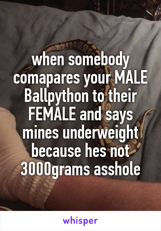 when somebody comapares your MALE Ballpython to their FEMALE and says mines underweight because hes not 3000grams asshole