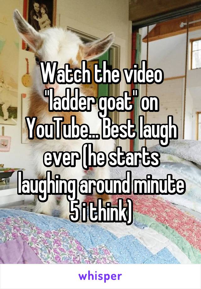 Watch the video "ladder goat" on YouTube... Best laugh ever (he starts laughing around minute 5 i think)