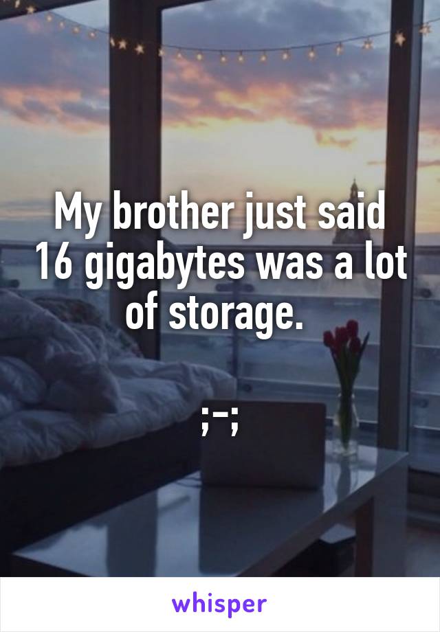 My brother just said 16 gigabytes was a lot of storage. 

;-;