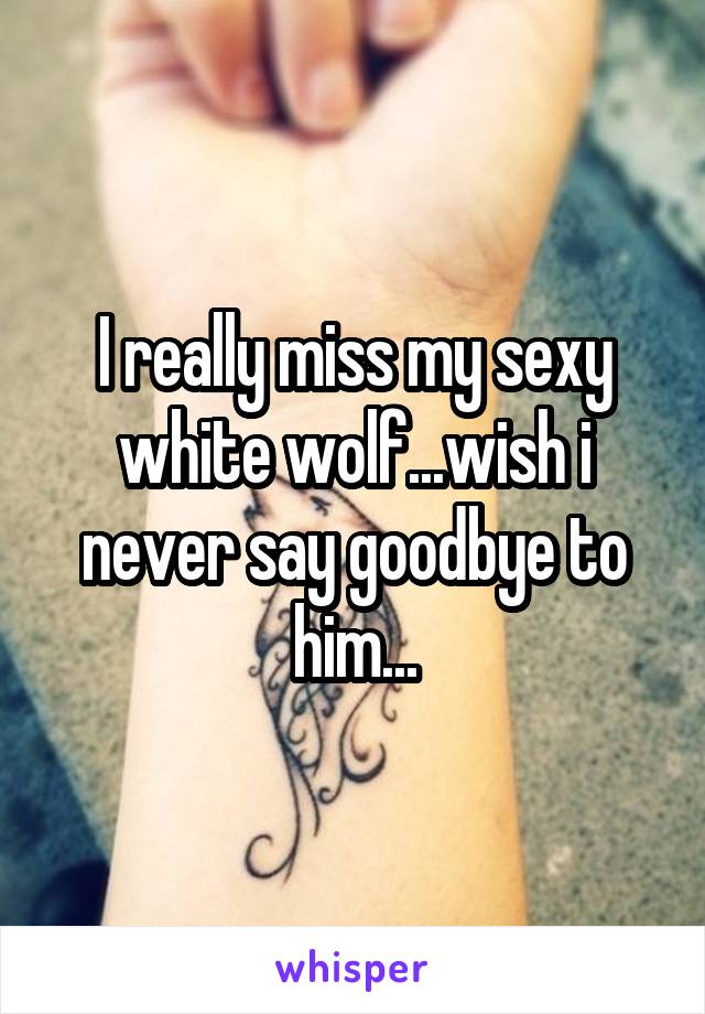 I really miss my sexy white wolf...wish i never say goodbye to him...