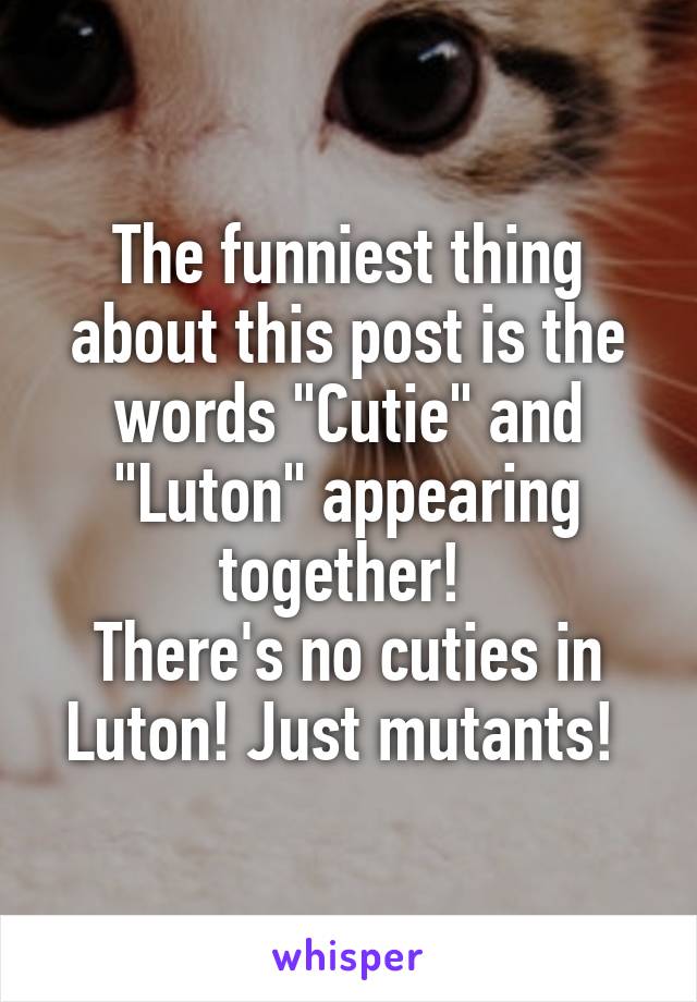 The funniest thing about this post is the words "Cutie" and "Luton" appearing together! 
There's no cuties in Luton! Just mutants! 