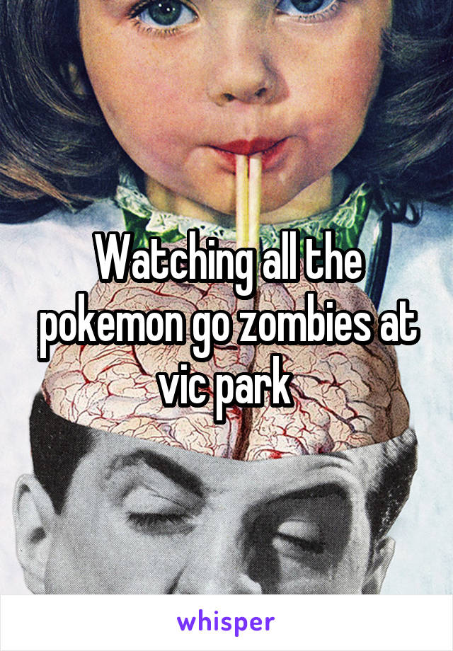 Watching all the pokemon go zombies at vic park 