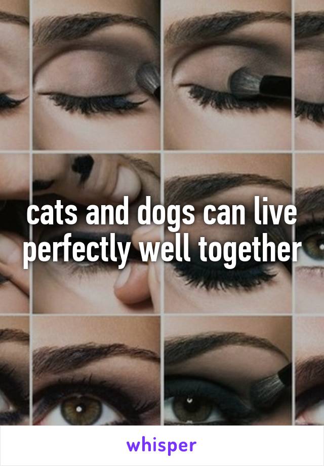 cats and dogs can live perfectly well together
