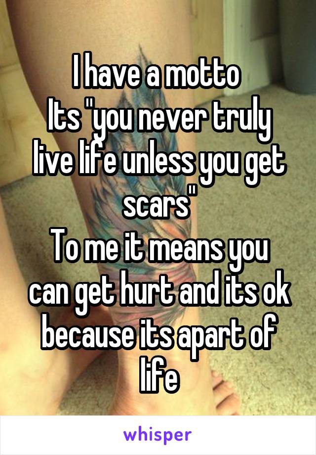 I have a motto 
Its "you never truly live life unless you get scars"
To me it means you can get hurt and its ok because its apart of life