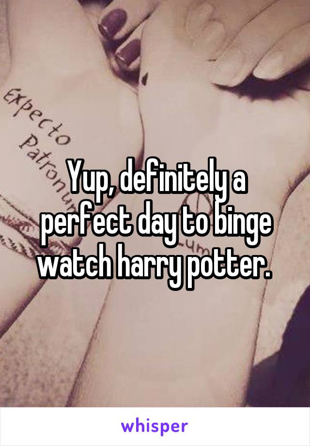 Yup, definitely a perfect day to binge watch harry potter. 