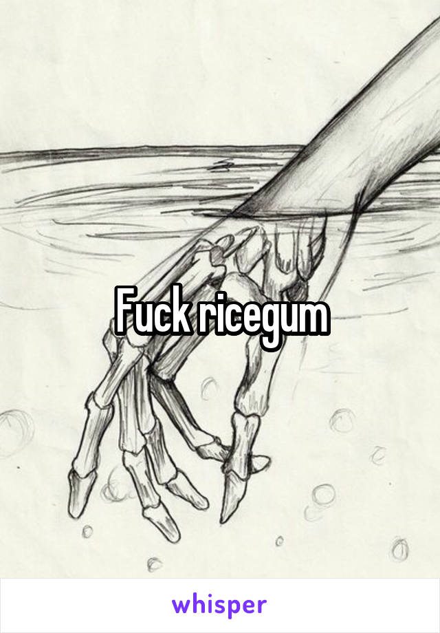 Fuck ricegum