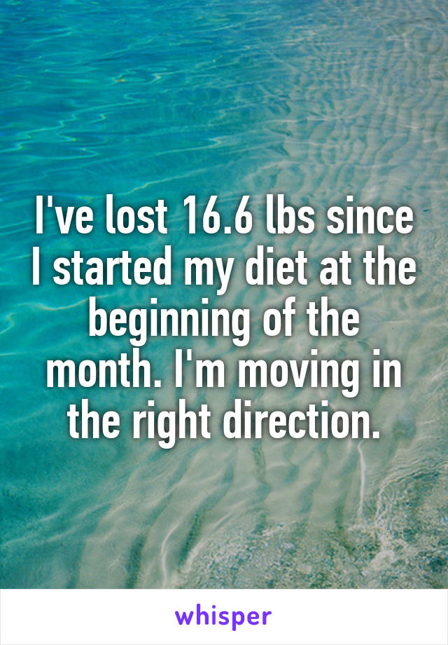 I've lost 16.6 lbs since I started my diet at the beginning of the month. I'm moving in the right direction.