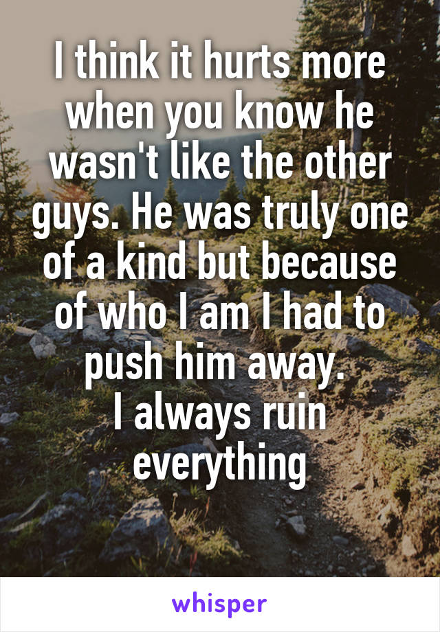 I think it hurts more when you know he wasn't like the other guys. He was truly one of a kind but because of who I am I had to push him away. 
I always ruin everything

