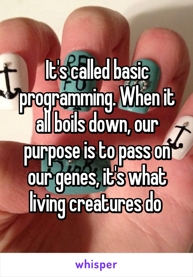 It's called basic programming. When it all boils down, our purpose is to pass on our genes, it's what living creatures do 