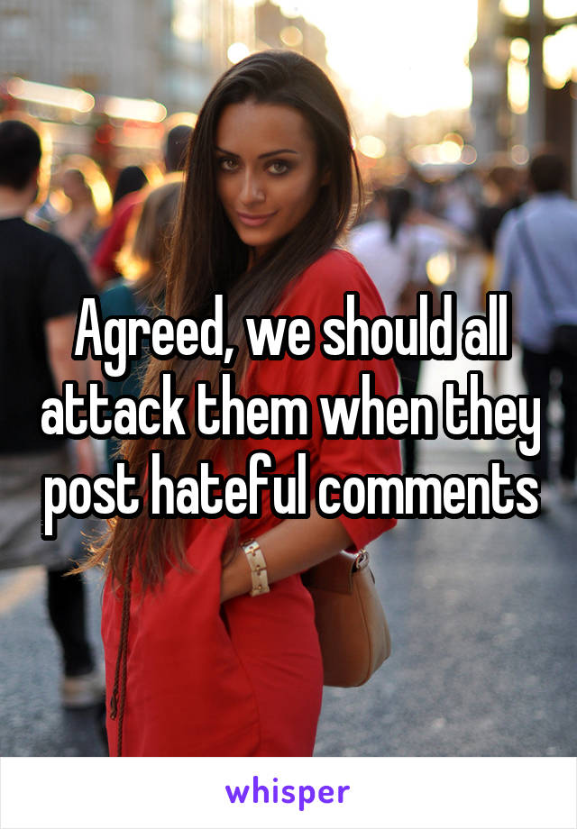 Agreed, we should all attack them when they post hateful comments