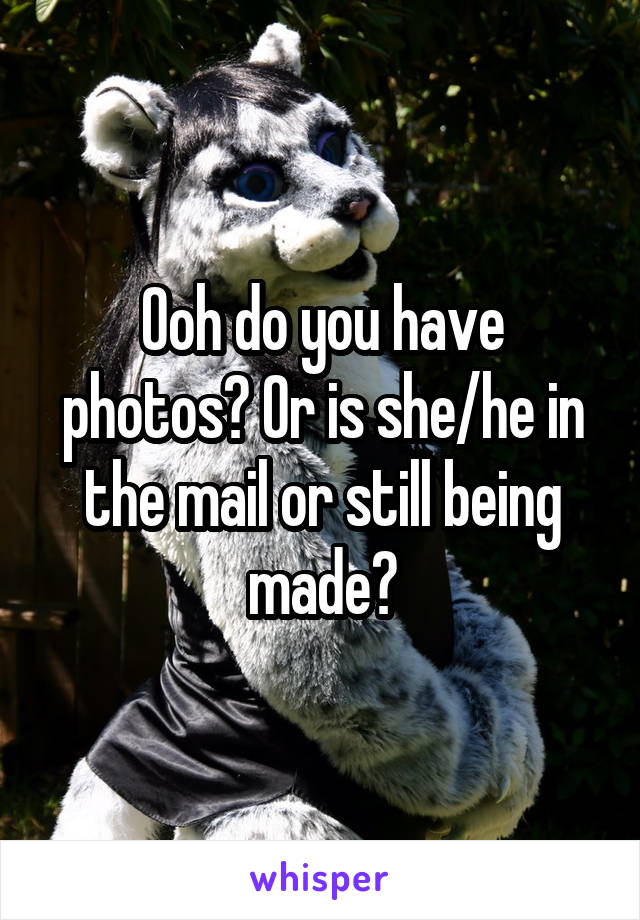 Ooh do you have photos? Or is she/he in the mail or still being made?