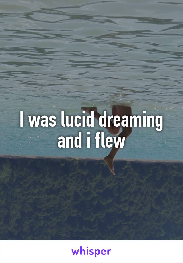 I was lucid dreaming and i flew