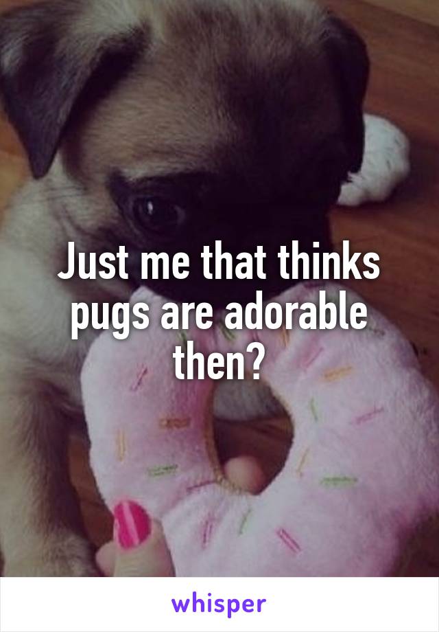 Just me that thinks pugs are adorable then?