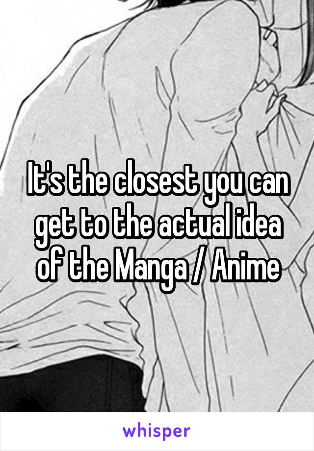 It's the closest you can get to the actual idea of the Manga / Anime