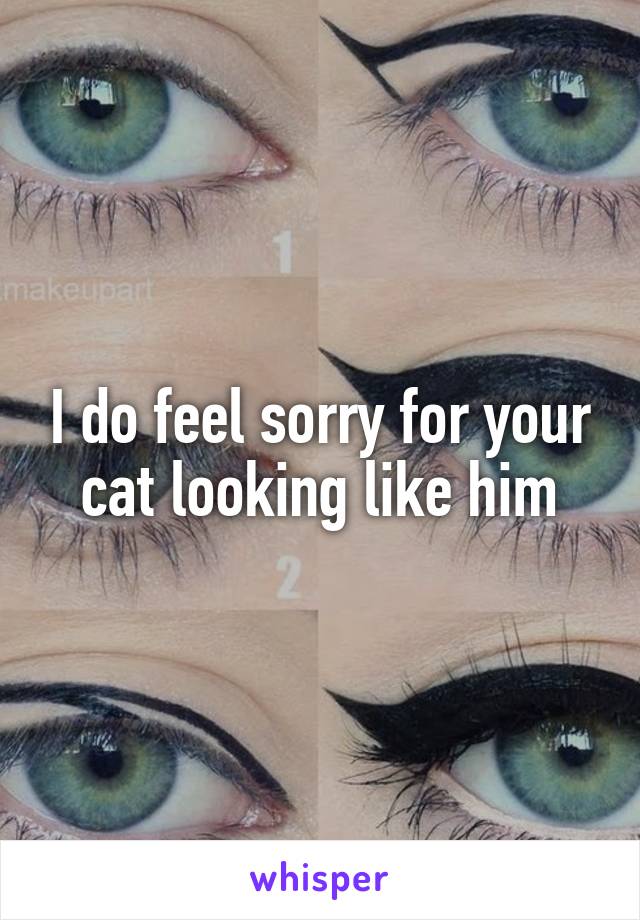I do feel sorry for your cat looking like him