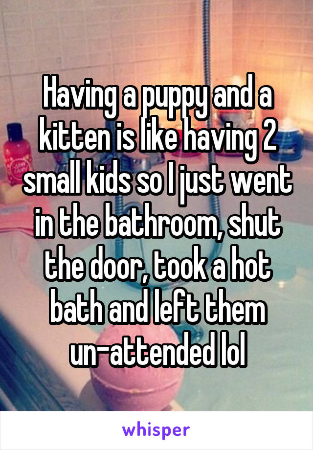Having a puppy and a kitten is like having 2 small kids so I just went in the bathroom, shut the door, took a hot bath and left them un-attended lol