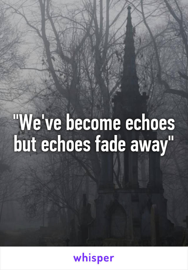 "We've become echoes but echoes fade away"