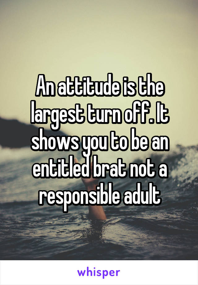 An attitude is the largest turn off. It shows you to be an entitled brat not a responsible adult