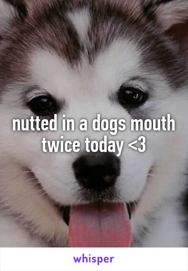 nutted in a dogs mouth twice today <3