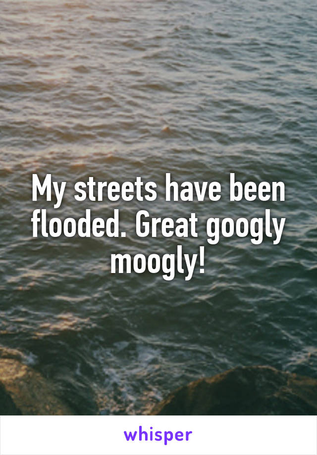 My streets have been flooded. Great googly moogly!