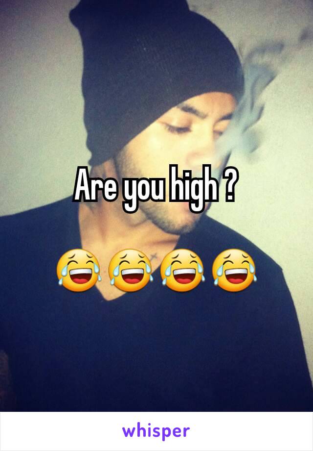 Are you high ?

😂😂😂😂