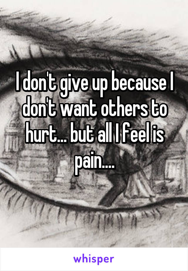 I don't give up because I don't want others to hurt... but all I feel is pain....
