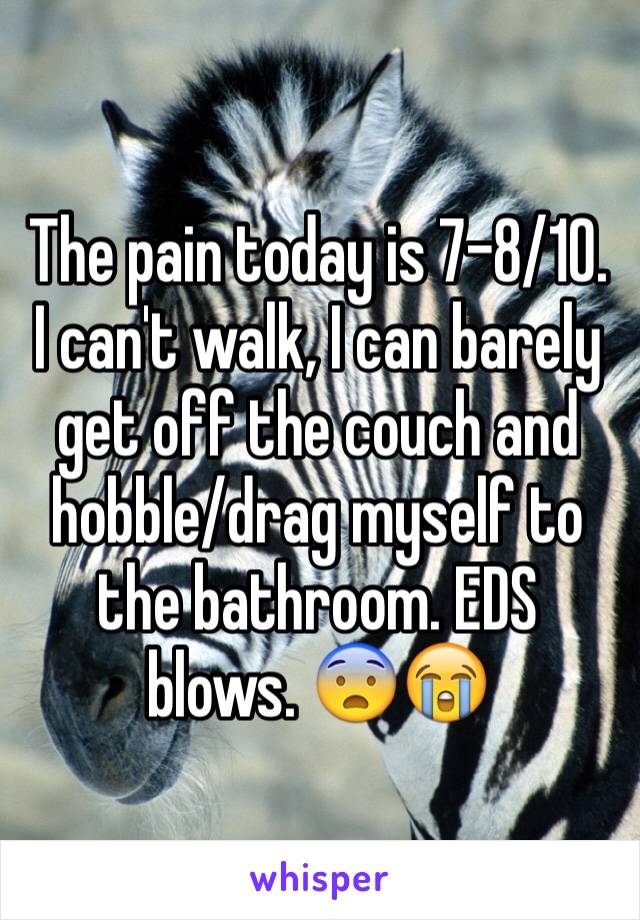 The pain today is 7-8/10. I can't walk, I can barely get off the couch and hobble/drag myself to the bathroom. EDS blows. 😨😭