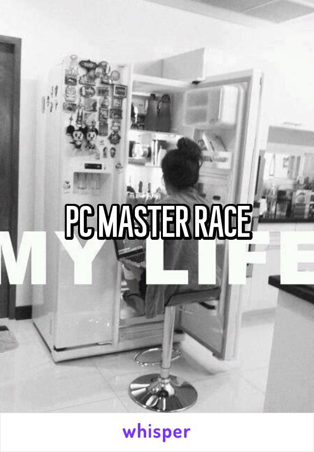 PC MASTER RACE