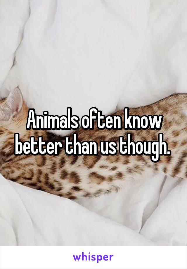 Animals often know better than us though. 