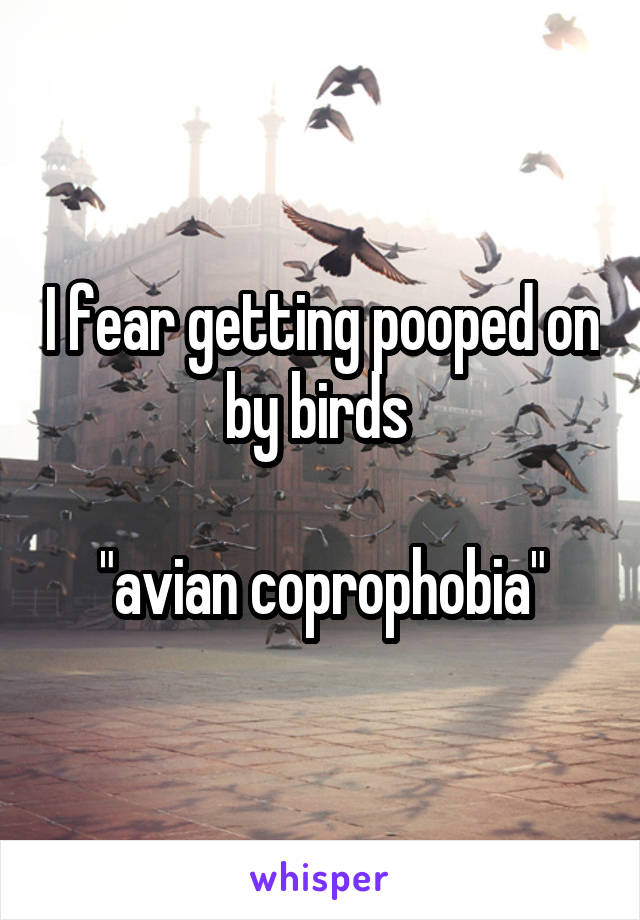 I fear getting pooped on by birds 

"avian coprophobia"