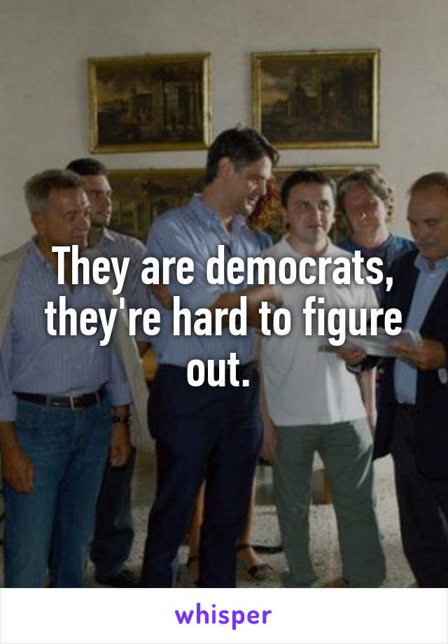They are democrats, they're hard to figure out. 