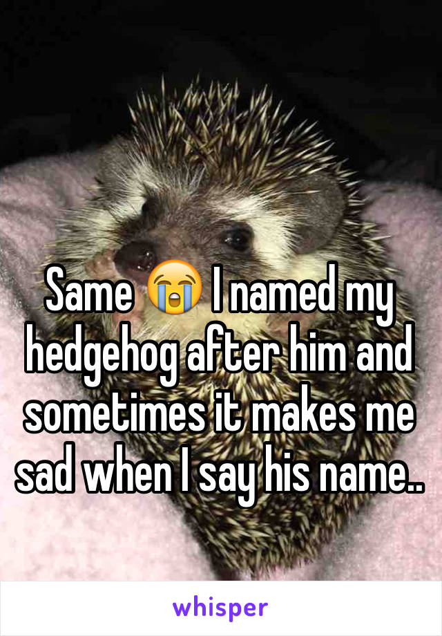 Same 😭 I named my hedgehog after him and sometimes it makes me sad when I say his name..