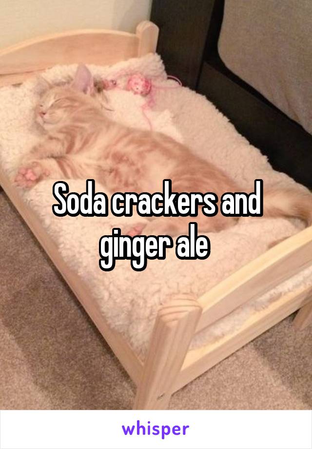 Soda crackers and ginger ale 