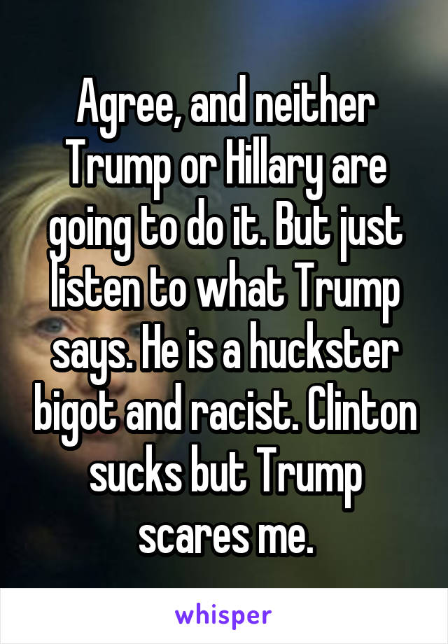Agree, and neither Trump or Hillary are going to do it. But just listen to what Trump says. He is a huckster bigot and racist. Clinton sucks but Trump scares me.
