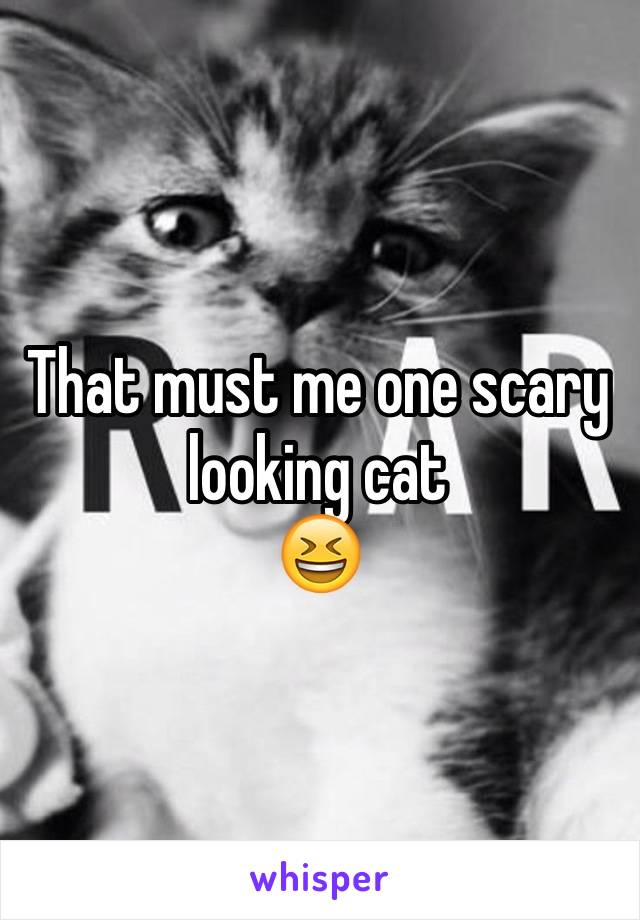 That must me one scary looking cat
😆