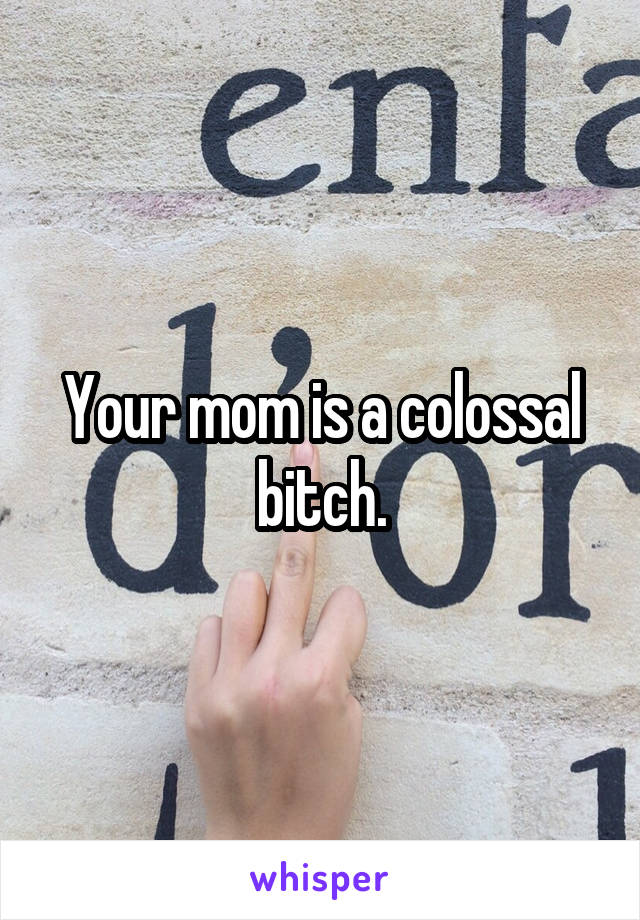 Your mom is a colossal bitch.