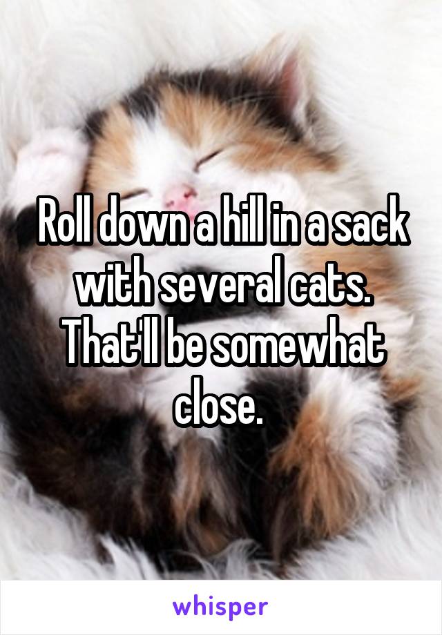 Roll down a hill in a sack with several cats. That'll be somewhat close. 